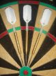 Terry Jenkins 21g