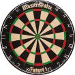 masterdarts future1 (1).jpg